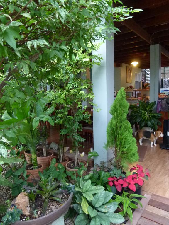 Bed and Breakfast Ban Boonchu Phra Nakhon Si Ayutthaya Exterior foto